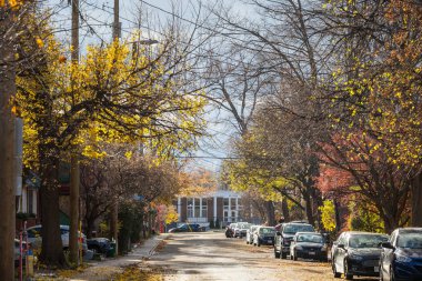 Ottawa, Kanada - 10 Kasım 2018: Tipik Centretown, Ottawa, Ontario, sonbaharda park etmiş arabalar ile sonbahar bir öğleden sonra boyunca Kuzey Amerika konut sokakta