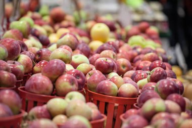 Montreal Kanada bir pazarda satışa kova Honeycrisp elma. Kanada ve Quebec büyük elma üreticileri gibi popüler bir sonbahar meyve bir tür özellikle Amerika'da geliştirilmiştir vardır