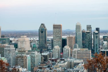 Montreal manzarası, şehir ve Mont Royal tepeden çekilen Cbd iş gökdelenler ikonik binalar ile. Quebec ana şehir ve ikinci şehir Kanada'da Montreal olduğunu