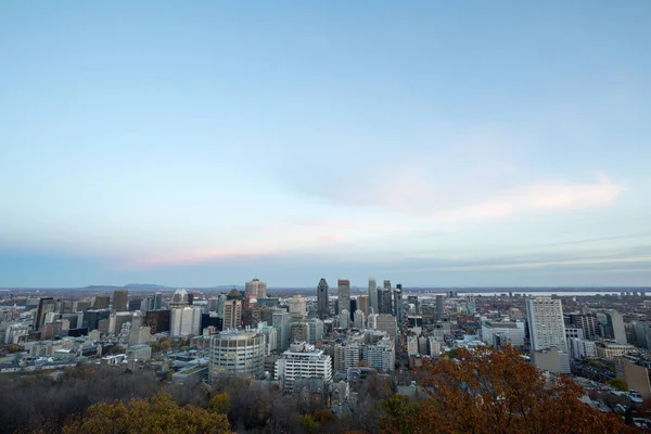 Skyline Montreal Ikony Budynków Śródmieścia Wieżowce Biznesowej Cbd Mont Royal — Zdjęcie stockowe