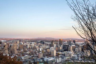Montreal manzarası, şehir ve Mont Royal tepeden çekilen Cbd iş gökdelenler ikonik binalar ile. Quebec ana şehir ve ikinci şehir Kanada'da Montreal olduğunu