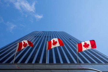 Three Canadian flags in front of a business building in Ottawa, Ontario, Canada. Ottawa is the capital city of Canada, and one of the main economic, political and business hubs of North America clipart