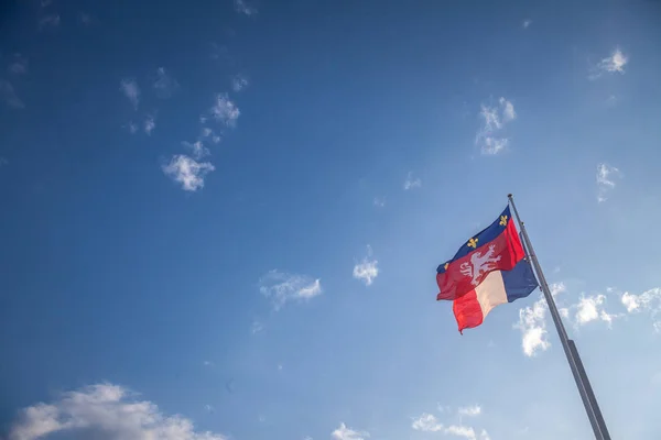 Armoiries Ville Lyon Sur Drapeau Renonçant Devant Drapeau Français Lyon — Photo