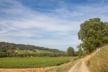 Tipik Fransız toprak yol, Fransa'nın kırsal bir yol, bitkileri ve tarlaları yaz aylarında ülkenin bir tarım alanında hasat için hazır