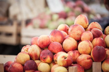 Sırbistan'ın Başkenti Belgrad'daki bir pazarda satışa sunulan olgun şeftali, turuncu ve kırmızı bir tezgahın üzerine yığıldı. Bunlar Balkan yarımadasının en geleneksel meyveleri arasındadır.