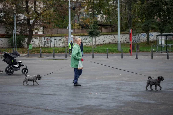 Praga Czechia Noviembre 2019 Anciana Una Anciana Checa Jubilada Paseando — Foto de Stock