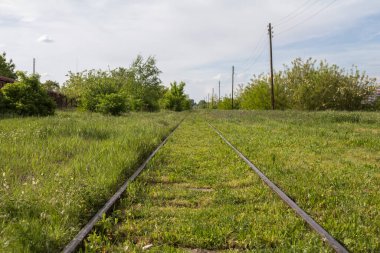 Kullanılmadığı için tipik metal rayları çimen ve bitkilerle kaplı eski ve paslı demiryolu hattı perspektifi