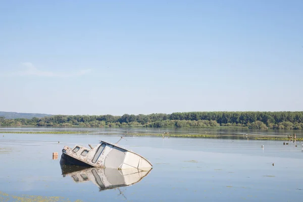 Sinking boat, an abaondoned passenger ship, rusting in the waters of the Danube river in Serbia, during summer, in a natural park. Danube is one of the biggest rivers of Europe