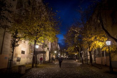 BELGRAD, SERBIA - NOVEMBER 11, 2014: Geceleri Skadarlija Caddesi (Skadarlija olarak da bilinir), tipik kaldırım taşlı kafeleri, restoranları ve B 'den geçen turistlerle