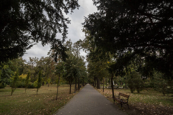 Main alley, a paved path, of the Gradski park, also called city park, in Pancevo, serbia, surrounded by high trees and benches. It is a typical public park of Europe