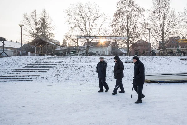 Pancevo Serbia Enero 2017 Ancianos Mayores Grupo Amigos Caminando Cerca — Foto de Stock