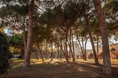 Valencia Jardin del Turia 'daki (Turia Bahçesi) çamların ve palmiyelerin arasından süzülen gün ışığı eski nehir yatağı parkındaki tarihi bir köprünün yakınındaki uzun gölgeleri ortaya çıkararak yeşil yolu oluşturdu..