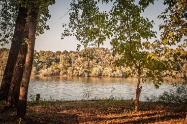 Sırbistan 'ın Obrenovac kentindeki Sava Nehri' nin sakin suları, nehir ağaçları ve yumuşak öğleden sonra ışıklarıyla panoramik manzarası. Sakin nehir manzarası geniş kanalı ve ormanlık nehir kıyısını vurguluyor..