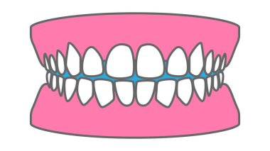 Sağlıklı beyaz dişler, diş düzenleme gerçek illüstrasyon vektör materyali