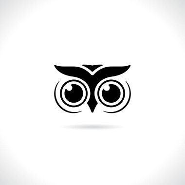 Baykuş Kuş hayvan, beyaz arka plan üzerinde izole