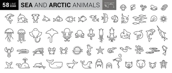 Set Iconos Línea Criaturas Marinas Conjunto Iconos Línea Sobre Fondo — Vector de stock