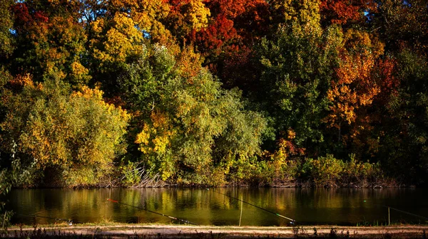 Autumn landscape. Autumn leaves