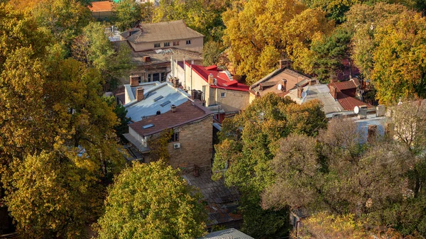 Autumn Landscape Autumn Leaves — Stock Photo, Image