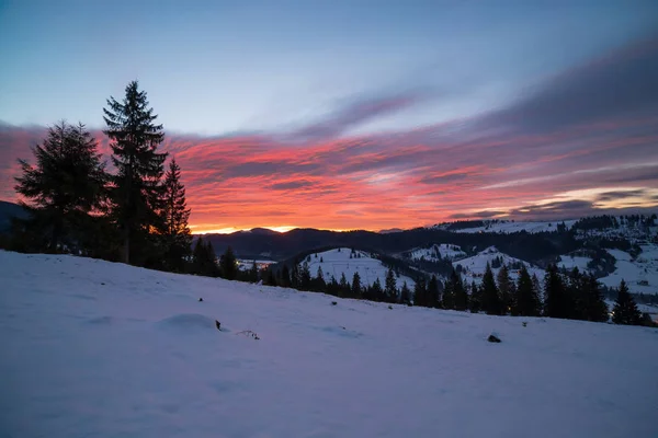 Bergen Karpaten Winter — Stockfoto