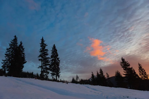 Bergen Karpaten Winter — Stockfoto