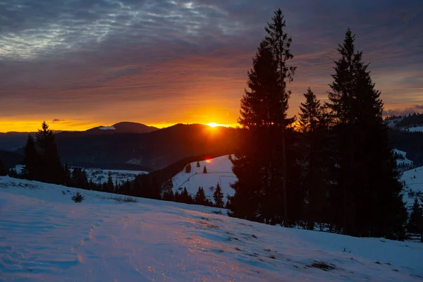 Bergen Karpaten Winter — Stockfoto