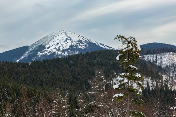 Mountains Carpathians Winter — Stock Photo, Image