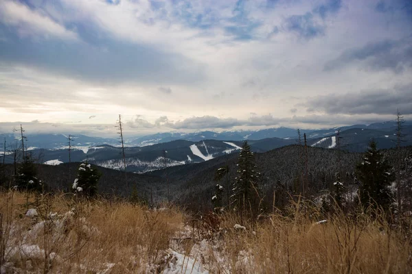 Mountains Carpathians Winter — Stock Photo, Image