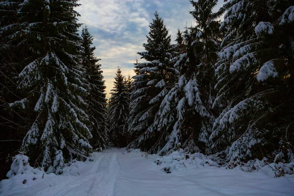 Mountains Carpathians Winter — Stock Photo, Image