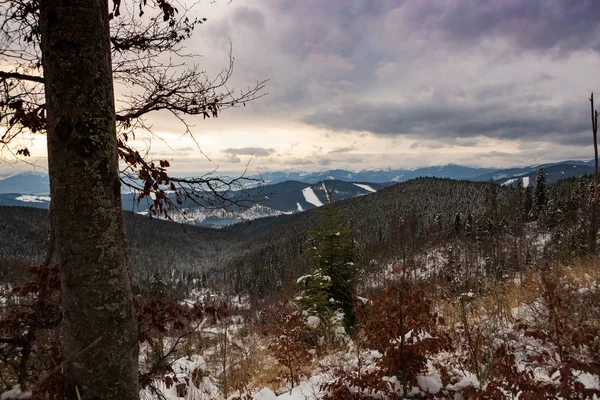 Mountains Carpathians Winter — Stock Photo, Image