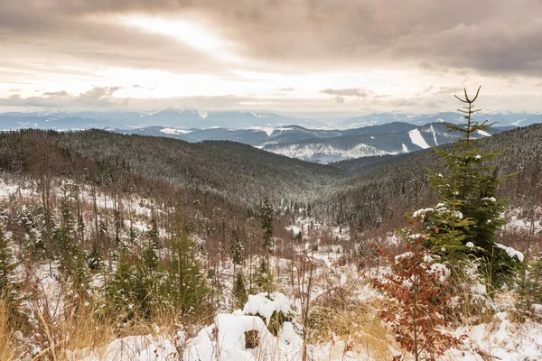 Pohoří Karpat Zimě — Stock fotografie