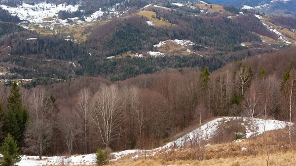 Winter, Berge, Wald. Winter in den Bergen — Stockfoto