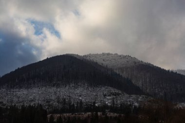 Dağ kış manzarası, Karpatlar