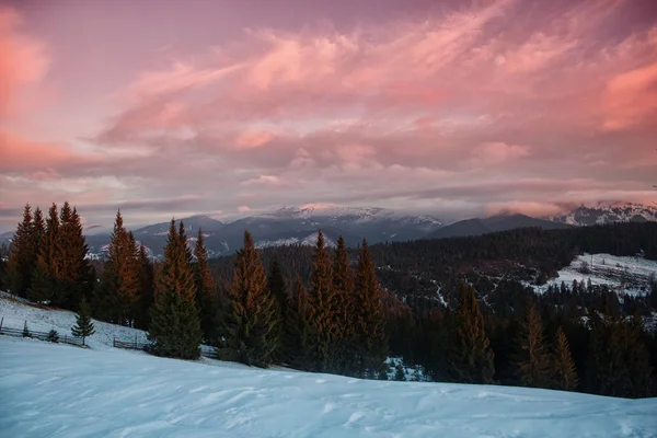 Dawn in de bergen. Karpaten. Winter — Stockfoto