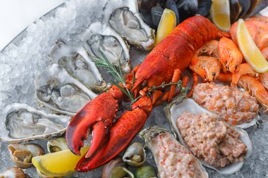 Buz, midye, karides ve midye, closeup ile kırmızı ıstakoz