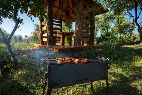 Voorbereiding van een shish kebab in de straat, picknick — Stockfoto