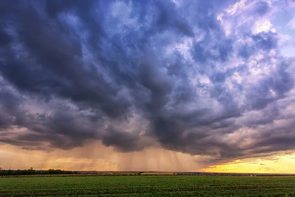 Kraftig Regn Mark Med Smukke Tordenskyer - Stock-foto