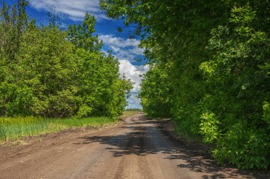 Arabasız, boş kırsal yol, güneşli bir yaz günü, ilkbahar gününde, ufukta beyaz bulutlar ve ağaçlarla kaplı mavi gökyüzüne doğru çekiliyor.