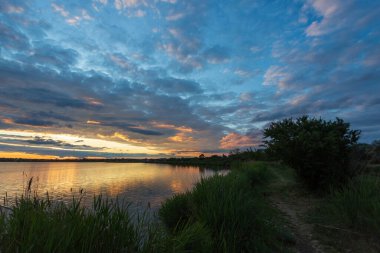 Gölde gün batımı, sahil boyunca bir patika, su kenarında bir ağaç ve ön planda sazlıklar