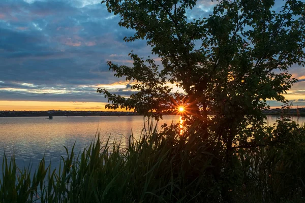 Bel Tramonto Sul Fiume Con Albero Primo Piano Sole Che — Foto Stock