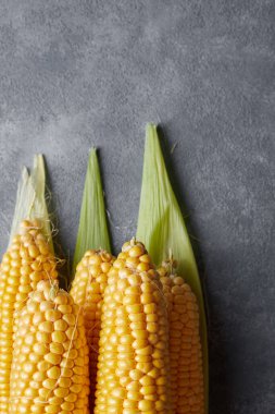 Beş rulo çiğ mısır, hafif bir arka planda.
