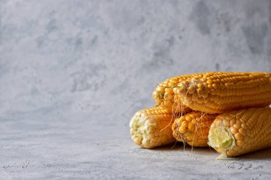 Beş rulo çiğ mısır, hafif bir arka planda.