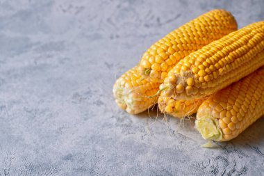 Beş rulo çiğ mısır, hafif bir arka planda.