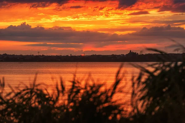 Beautiful Sunrise Lake Reeds Foreground — Stock Photo, Image