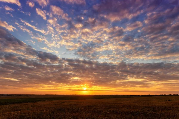 Belo Pôr Sol Nascer Sol Sobre Campo — Fotografia de Stock