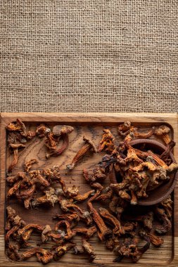 Kurutulmuş chanterelle mantarı, Cantharllus cibrius, ahşap bir tahtanın üzerinde, kabataslak bir arka planda, çuval bezi.