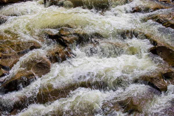 Rapides Une Rivière Montagne Pierres Une Rivière Tourbillonnante Par Une — Photo