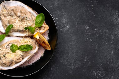 Kremalı peynir soslu Rapana, kabuklu, tabakta, karanlık bir arka planda.