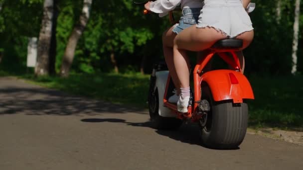 Dwie piękne dziewczyny w Dżinsowe szorty jeździć w parku na skuter elektryczny w lecie w widok do tyłu w zwolnionym tempie — Wideo stockowe