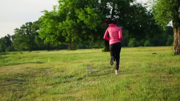 Poranny jogging w parku, w pobliżu stawu w promienie słoneczne świt, Dziewczyna przygotowuje się do Mariano i prowadzić zdrowy styl życia — Wideo stockowe