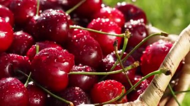tatlı taze kiraz ile çiğ damlaları, 4k
